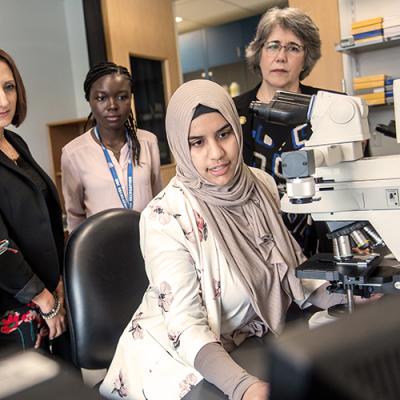 News + Announcements